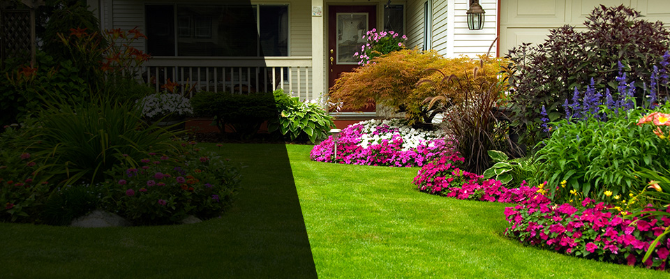 Tracy Landscapers