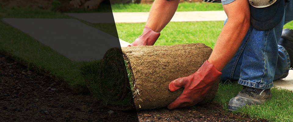 Tracy Landscapers